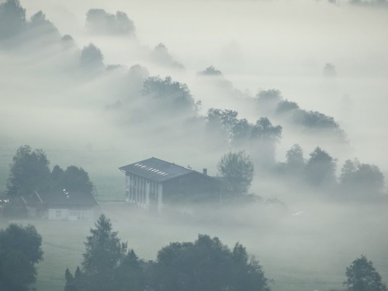 fog-1172053_960_720