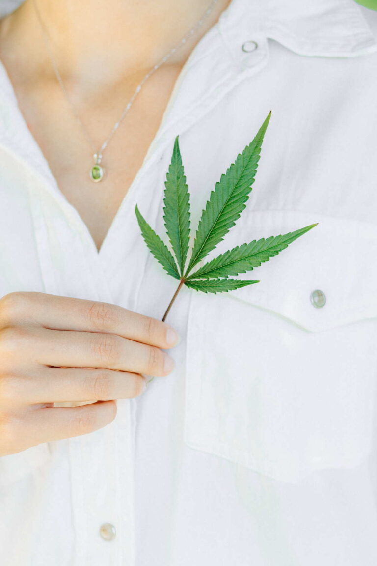 cbd olie lov